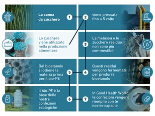 Infografica sul processo di produzione della confezione eco BIOGENA: (1) La canna da zucchero viene raccolta, (2) spremuta fino a 5 volte; (3) la melassa e lo zucchero residuo non sono più commestibili; (4) questi residui vengono fermentati in bioetanolo; (5) dal bioetanolo nasce la materia prima bioPE; (6) il bioPE è la base delle confezioni ecologiche BIOGENA; (7) nella Good Health World i contenitori vengono riempiti con le capsule.