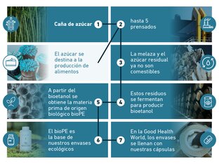 Infografía sobre el proceso de producción del envase ecológico de BIOGENA