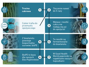 Infografika przedstawiająca proces produkcji ekologicznego opakowania BIOGENA: (1) Trzcina cukrowa jest zbierana, (2) wyciskana do 5 razy; (3) melasa i pozostały cukier nie nadają się już do spożycia; (4) resztki są fermentowane w celu uzyskania bioetanolu; (5) z bioetanolu powstaje biopochodny surowiec bioPE; (6) bioPE to baza ekologicznych opakowań BIOGENA; (7) w Good Health World opakowania są napełniane kapsułkami.