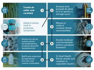 Infografic care ilustrează procesul de transformare a trestiei de zahăr în ambalaje durabile: (1) Trestia de zahăr este recoltată; (2) este presată de până la 5 ori pentru extragerea sucului; (3) zahărul comestibil este folosit în industria alimentară, iar melasa rămasă este necomestibilă; (4) aceste reziduuri sunt fermentate pentru a produce bioetanol; (5) bioetanolul devine materie primă pentru producția de bioPE (polietilenă bio); (6) bioPE este folosit pentru ambalajele Eco-Can sustenabile; (7) în fabrica Good Health World, dozele sunt umplute cu capsule.