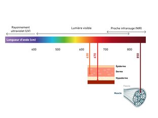 Explication du feu rouge