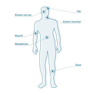 Simptomele deficitului de vitamina D