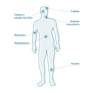 Síntomas de carencia de vitamina D