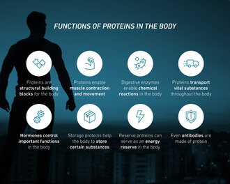 Functions of proteins in the body summarised