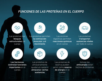 Resumen de las funciones de las proteínas en el organismo