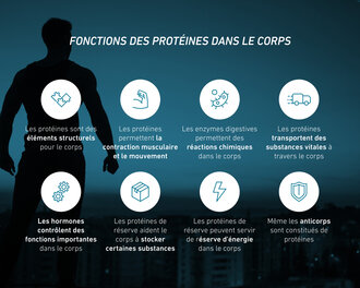 Récapitulation des fonctions des protéines dans l'organisme