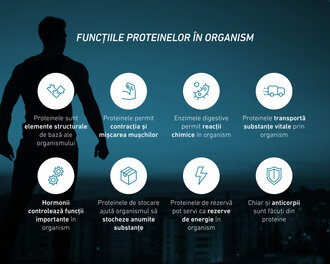 Rezumatul funcțiilor proteinelor în organism