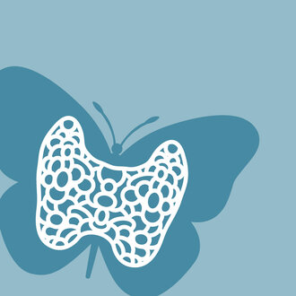 Thyroid butterfly-shaped organ