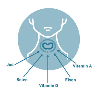 Mikronährstoffe für die Schilddrüse