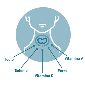 Micronutrienti per una tiroide sana