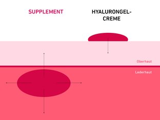 Hyaluron Creme vs. Hyaluron Supplement