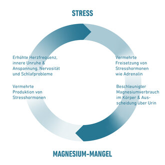 Zusammenhang von Magnesiummangel und Stress