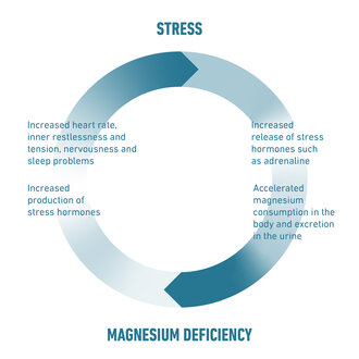 Connection between magnesium deficiency and stress summarised