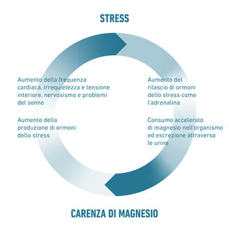 Sintesi del legame tra carenza di magnesio e stress
