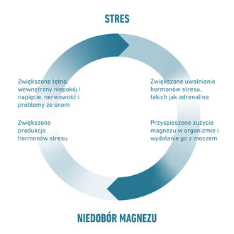 Podsumowanie związku między niedoborem magnezu a stresem