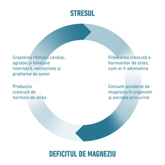 Rezumatul legăturii dintre deficitul de magneziu și stres