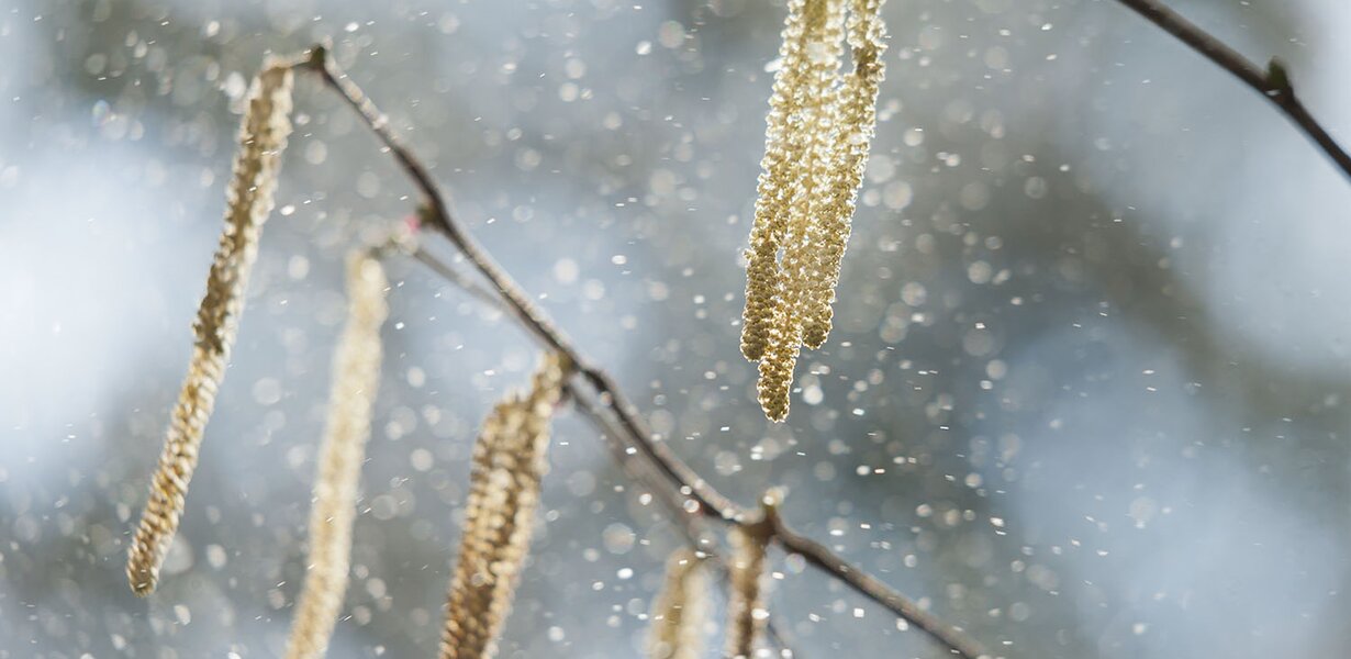 Allergia - cause e rimedi naturali