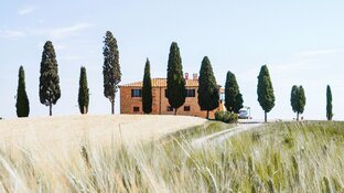 Traditionelles Landhaus in der Toskana, umgeben von Zypressen und goldenem Getreidefeld unter blauem Himmel