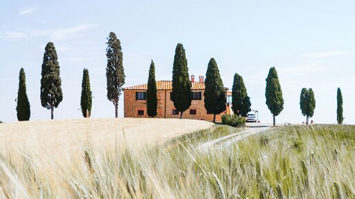 Traditionelles Landhaus in der Toskana, umgeben von Zypressen und goldenem Getreidefeld unter blauem Himmel