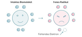 intaktes Molekül vs. freies Radikal