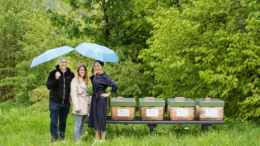 250.000 Bienen: Neue Projektpartnerschaft zwischen BIOGENA und Hektar Nektar