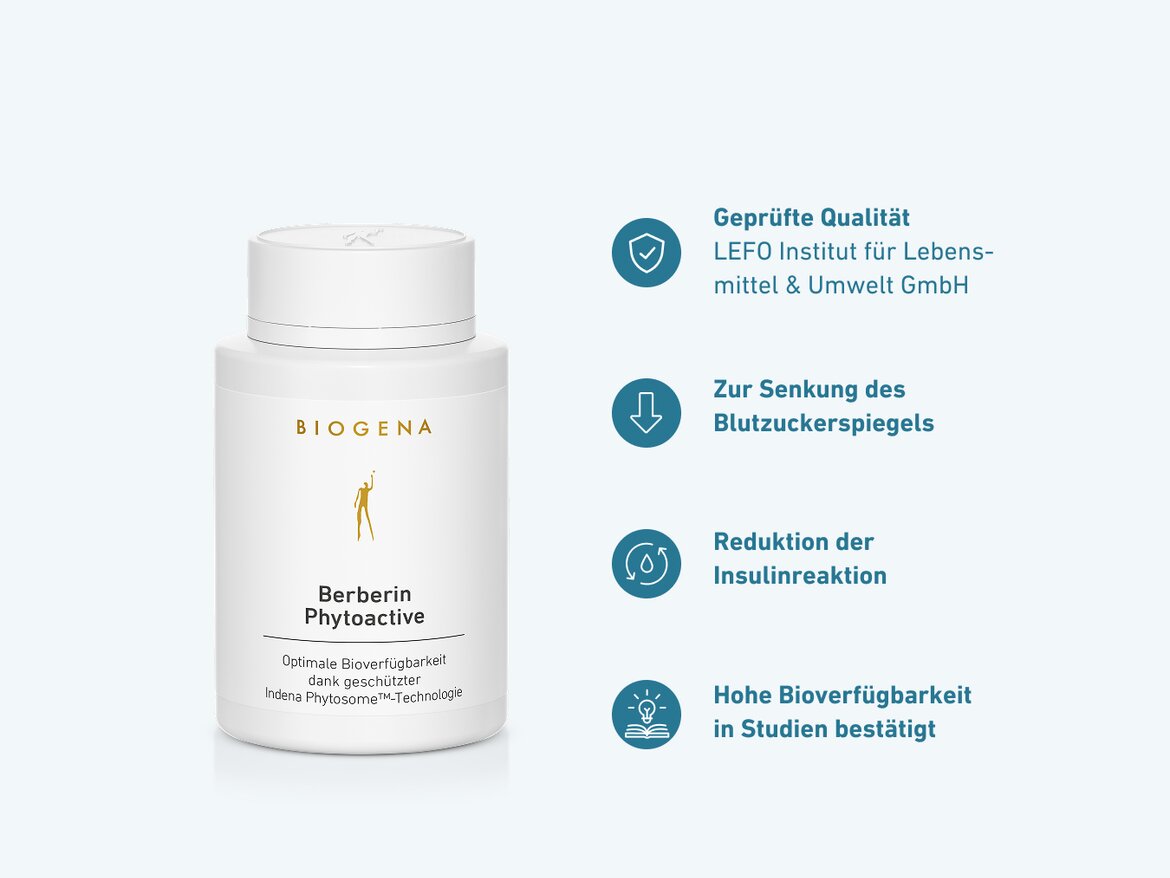 Berberin Phytoactive Flasche von Biogena auf einem minimalistischen Hintergrund. Um die Flasche sind Icons, die die Aktivierung von AMPK, die Verbesserung der Insulinsensitivität, die Hemmung der Zuckerproduktion in der Leber und die Unterstützung eines gesunden Mikrobioms darstellen.