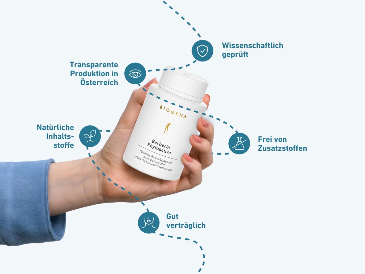 Eine Hand hält die Flasche Berberin Phytoactive von Biogena. Es gibt Symbole, die die natürliche Inhaltsstoffe, wissenschaftliche Prüfung, Zusatzstofffreiheit und gute Verträglichkeit anzeigen, sowie den Hinweis auf die transparente Produktion in Österreich.