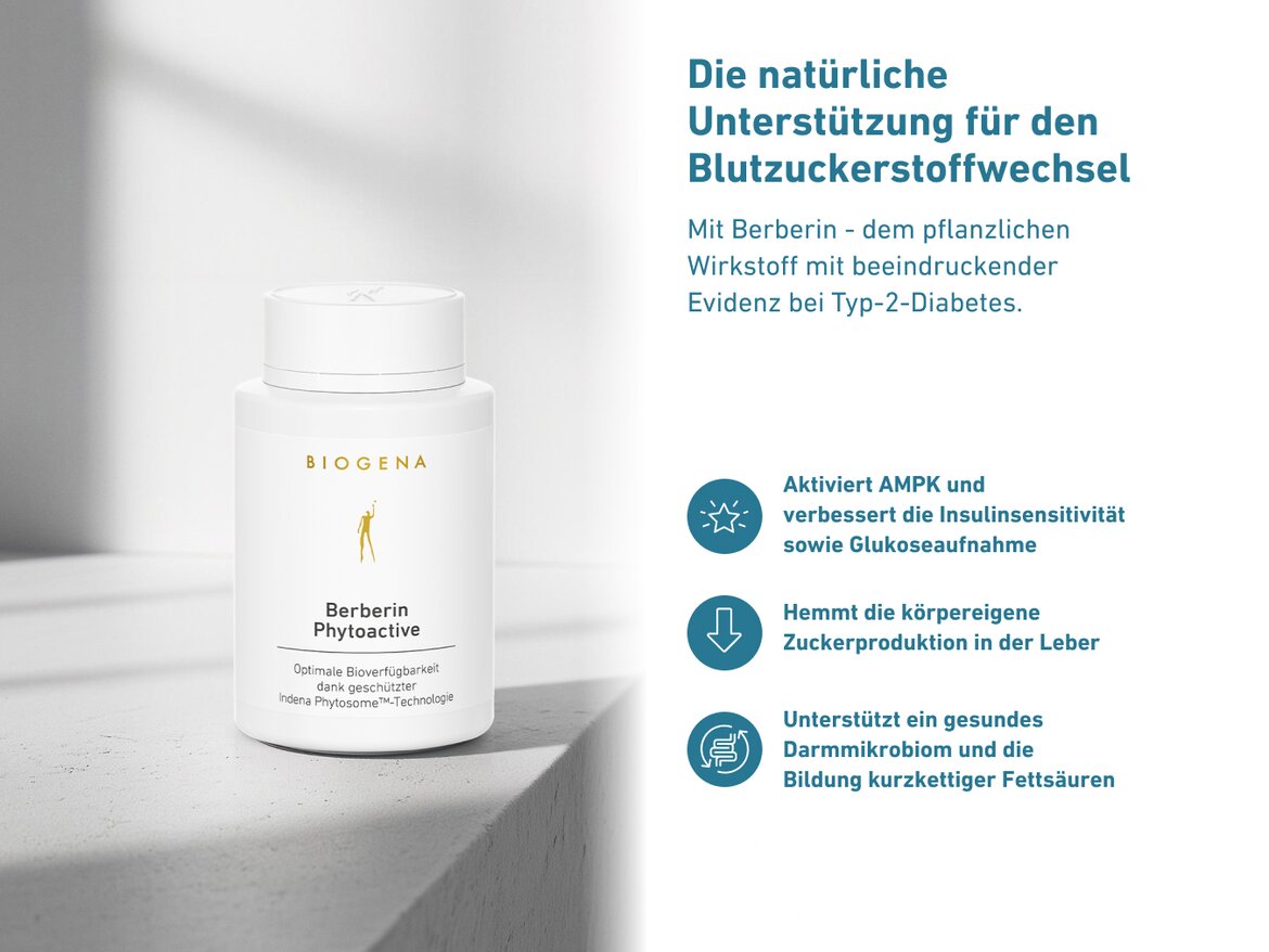 Berberin Phytoactive Flasche von Biogena mit einem weißen Etikett und goldenen Akzenten. Um die Flasche herum sind Symbole, die die geprüfte Qualität, die Senkung des Blutzuckerspiegels, die Reduktion der Insulinreaktion und die hohe Bioverfügbarkeit darstellen.