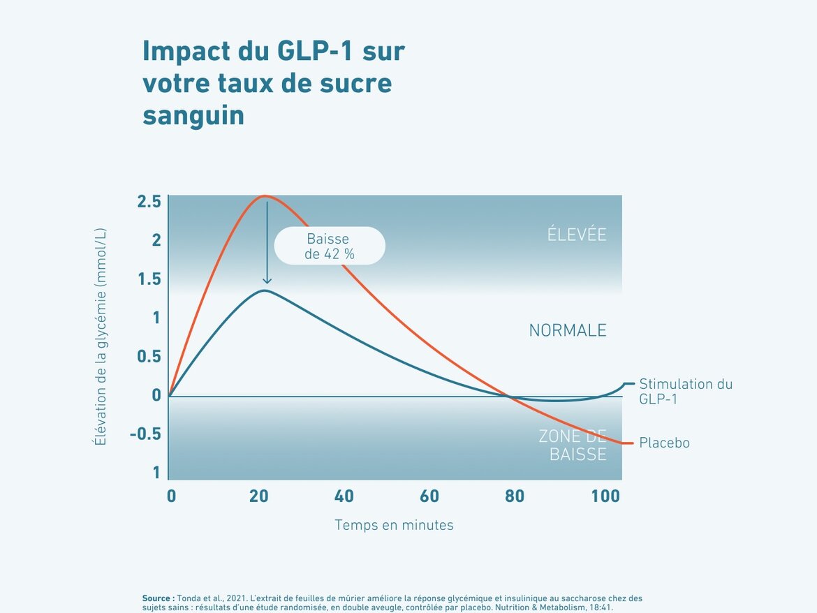 Graphique comparatif montrant l’impact du GLP-1 sur le taux de sucre sanguin. La courbe placebo montre une élévation élevée de la glycémie, la stimulation du GLP-1 réduit la hausse de 42% et maintient un niveau normal sur 100 minutes
