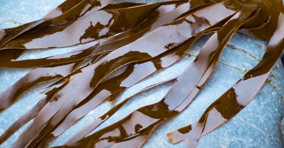 Omega3 Kapseln & Präparate online kaufen BIOGENA Schweiz