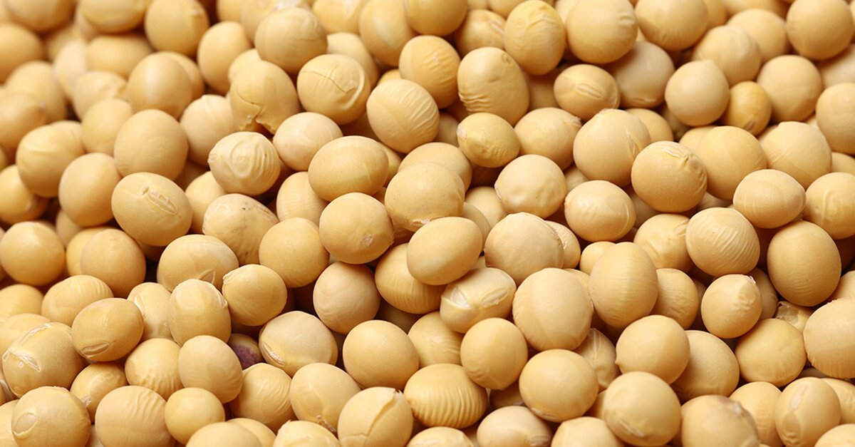 Spermidine 10mg  Optimum Dosage  99% Purity With Zinc + Vitamin B1 For Superior Absorption Longevity 60 Vegan Capsules Spermidine Supplements