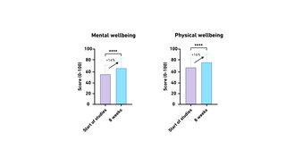 Bar charts showing increases in mental and physical wellbeing scores from the start of studies to 8 weeks, each with a 16% improvement.